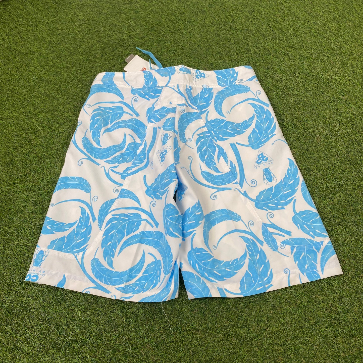00s Nike ACG Beach Swim Shorts Blue Small